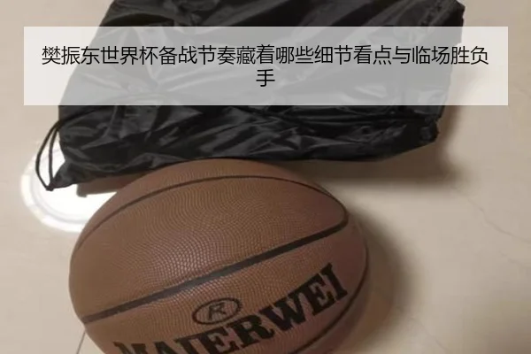 樊振东世界杯备战节奏藏着哪些细节看点与临场胜负手 - CCTV